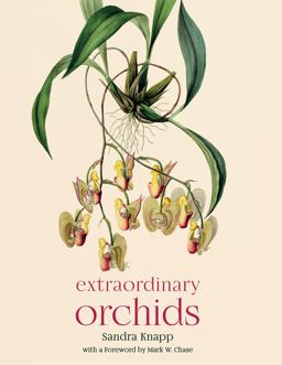 Extraordinary Orchids Extraordinary Orchids