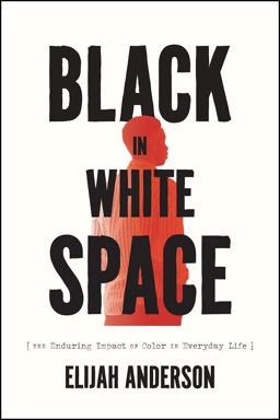 Black in White Space The Enduring Impact of Color in Everyday Life  9780226826417 Front Cover