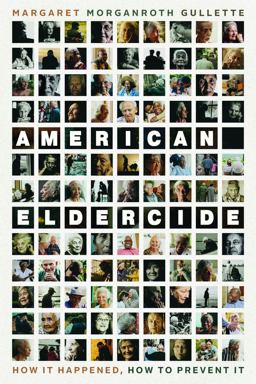     AMERICAN ELDERCIDE  9780226827766 Front Cover