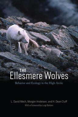 The Ellesmere Wolves The Ellesmere Wolves