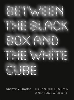 Between the Black Box and the White Cube Expanded Cinema and Postwar Art  9780226842998 Front Cover