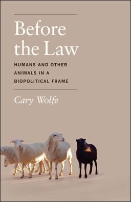 Before the Law Humans and Other Animals in a Biopolitical Frame  9780226922416 Front Cover