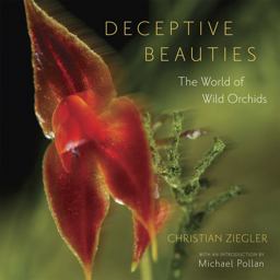 Deceptive Beauties The World of Wild Orchids  9780226982977 Front Cover