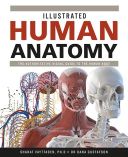 Illustrated Human Anatomy:  9780228103035 Front Cover