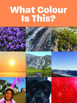 What Colour Is This?