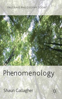 Phenomenology  9780230272491 Front Cover
