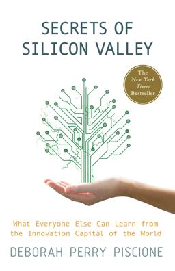 Secrets of Silicon Valley What Everyone Else Can Learn from the Innovation Capital of the World  9780230342118 Front Cover