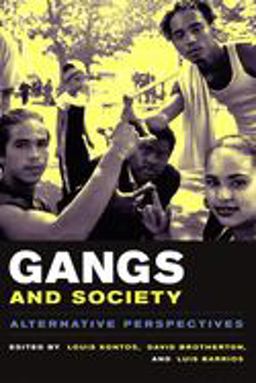 Gangs and Society Alternative Perspectives  9780231121415 Front Cover