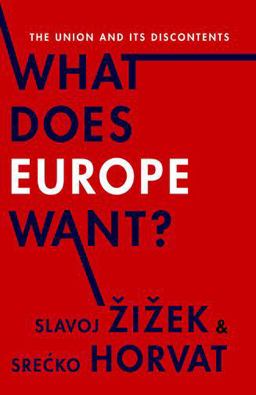 What Does Europe Want? The Union and Its Discontents  9780231171076 Front Cover