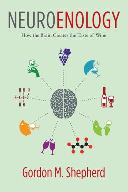 Neuroenology How the Brain Creates the Taste of Wine  9780231177009 Front Cover