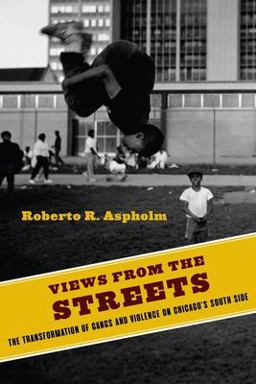 Views from the Streets The Transformation of Gangs and Violence on Chicago's South Side  9780231187732 Front Cover