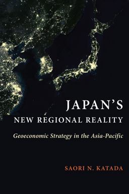 Japan's New Regional Reality Geoeconomic Strategy in the Asia-Pacific  9780231190732 Front Cover