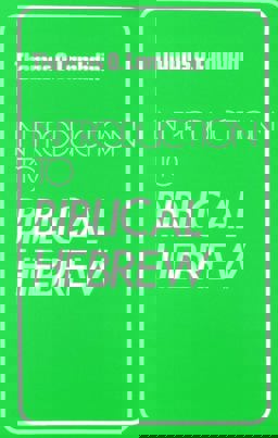 Introduction to Biblical Hebrew  9780232513691 Front Cover