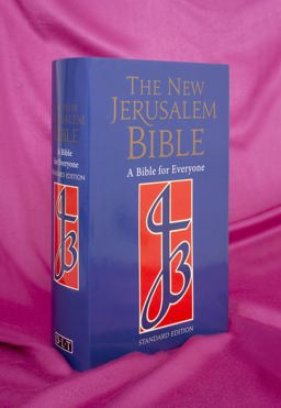 Bible (Bible Njb)  9780232516500 Front Cover