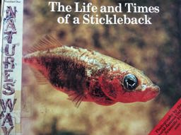 The Life and Times of a Stickleback