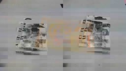 A Cat Called Amnesia