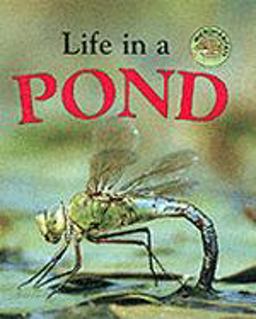 Life in a Pond