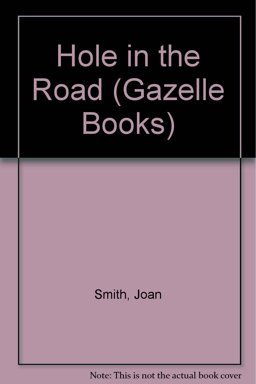 Hole in the Road
