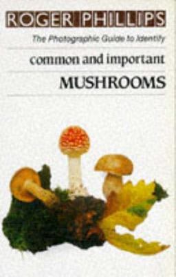 Mushrooms