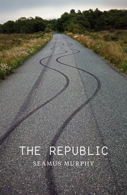 Republic  9780241197097 Front Cover