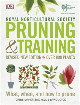 Pruning and Training