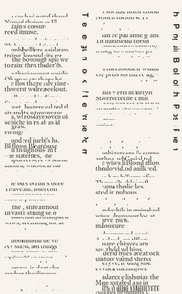 Penguin Book of the Prose Poem  9780241285794 Front Cover