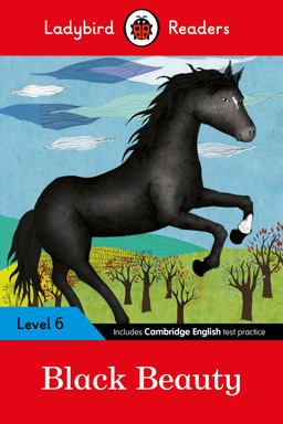 Ladybird Readers Level 6