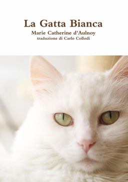 La Gatta Bianca