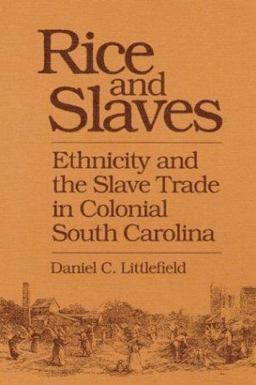Rice and Slaves Ethnicity and the Slave Trade in Colonial South Carolina  9780252062148 Front Cover