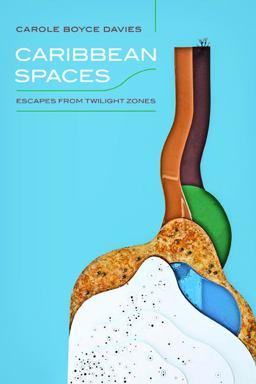 Caribbean Spaces: Escapes from Twilight Zone  9780252079535 Front Cover