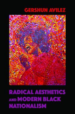 Radical Aesthetics and Modern Black Nationalism  9780252081613 Front Cover