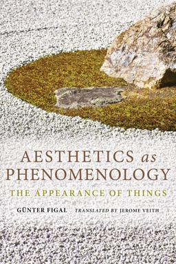 Aesthetics As Phenomenology The Appearance of Things  9780253015587 Front Cover