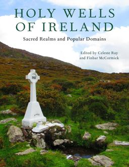 Holy Wells of Ireland Sacred Realms and Popular Domains  9780253066688 Front Cover