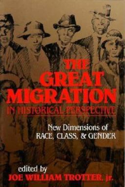 Great Migration in Historical Perspective New Dimensions of Race, Class, and Gender  9780253206695 Front Cover