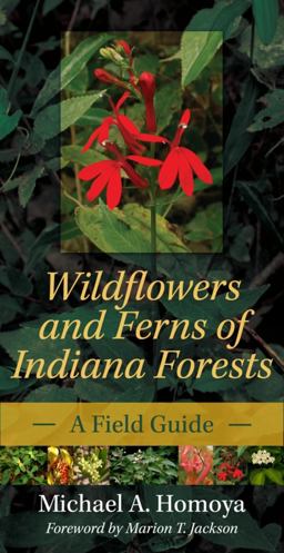 Wildflowers and Ferns of Indiana Forests A Field Guide  9780253223258 Front Cover