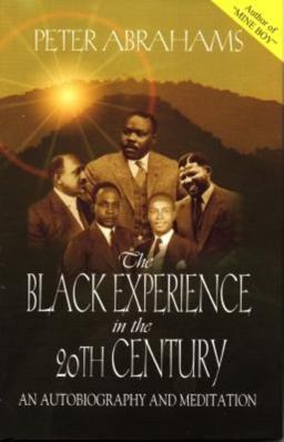 The Black Experience in the 20th Century