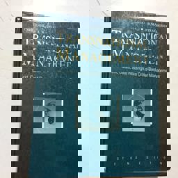 Transnational Management