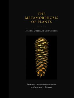 Metamorphosis of Plants  9780262013093 Front Cover