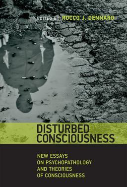 Disturbed Consciousness New Essays on Psychopathology and Theories of Consciousness  9780262029346 Front Cover