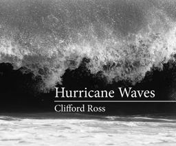 Hurricane Waves  9780262029971 Front Cover