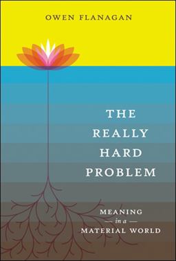 Really Hard Problem Meaning in a Material World  9780262512480 Front Cover