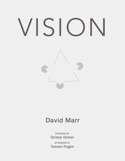 Vision A Computational Investigation into the Human Representation and Processing of Visual Information  9780262514620 Front Cover