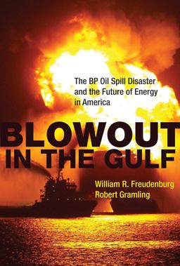 Blowout in the Gulf The BP Oil Spill Disaster and the Future of Energy in America  9780262517294 Front Cover
