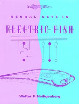 Neural Nets in Electric Fish:  9780262519137 Front Cover
