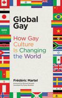 Global Gay - How Gay Culture Is Changing the World  9780262537056 Front Cover