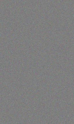 The Stanislaski Sisters