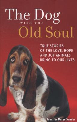 The Dog with the Old Soul The Dog with the Old Soul