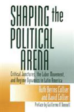 Shaping the Political Arena Shaping the Political Arena