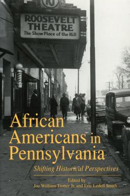 African Americans in Pennsylvania Shifting Historical Perspectives  9780271016870 Front Cover