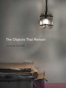 Objects That Remain  9780271087825 Front Cover